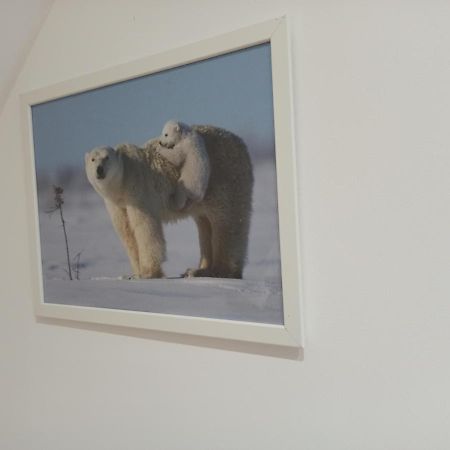 A 4 Min Du Zoo De Beauval La Maison A Partager Ch4 2Eme Etage Saint-Aignan  Εξωτερικό φωτογραφία