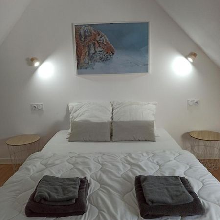 A 4 Min Du Zoo De Beauval La Maison A Partager Ch4 2Eme Etage Saint-Aignan  Εξωτερικό φωτογραφία