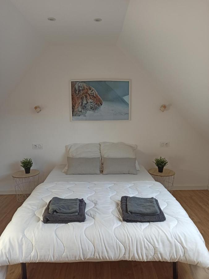 A 4 Min Du Zoo De Beauval La Maison A Partager Ch4 2Eme Etage Saint-Aignan  Εξωτερικό φωτογραφία