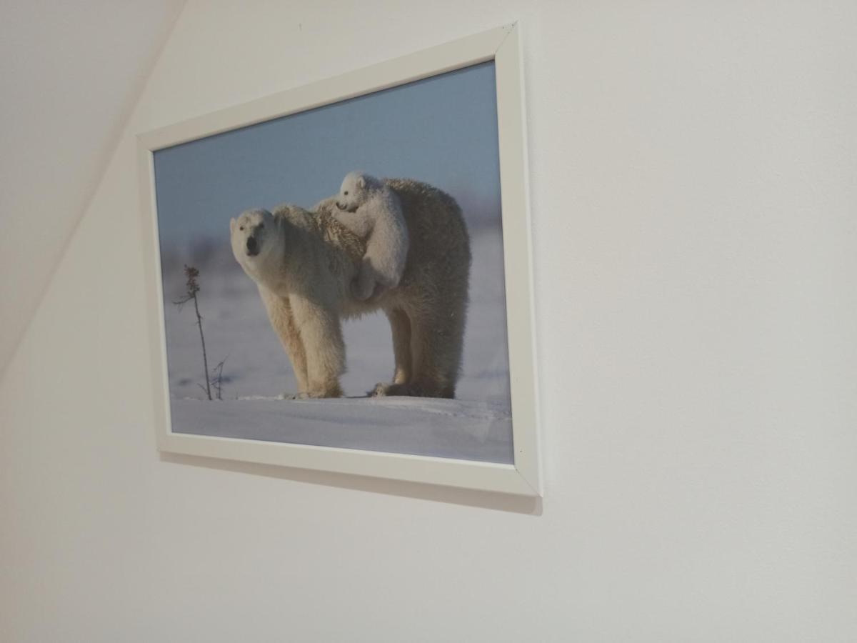 A 4 Min Du Zoo De Beauval La Maison A Partager Ch4 2Eme Etage Saint-Aignan  Εξωτερικό φωτογραφία